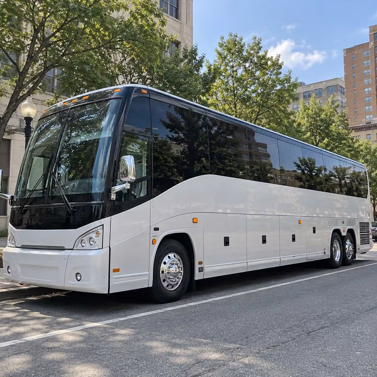 erie prom groups love minibus rentals for smaller more intimate squads